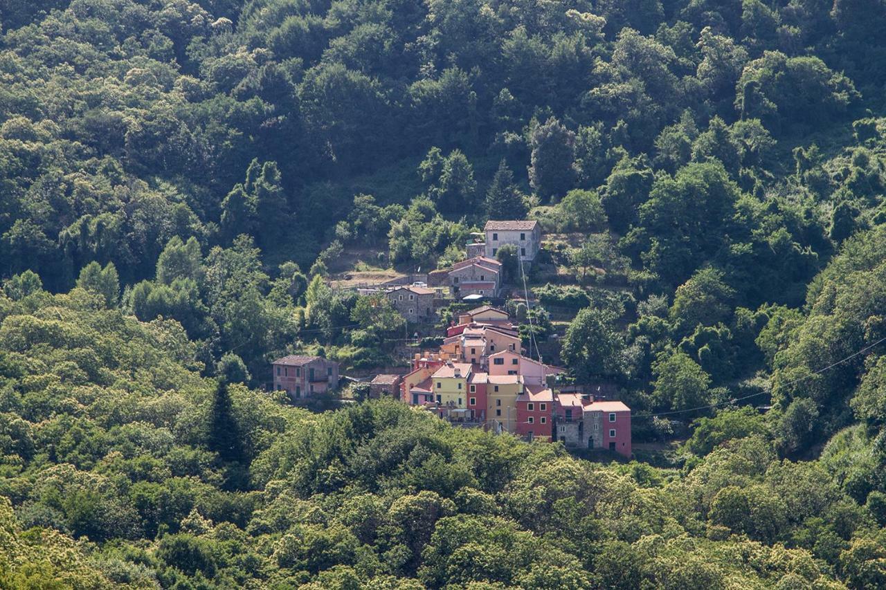 ريكو ديل غولفو دي سبيزيا Borgo Di Codeglia - Country Rooms المظهر الخارجي الصورة