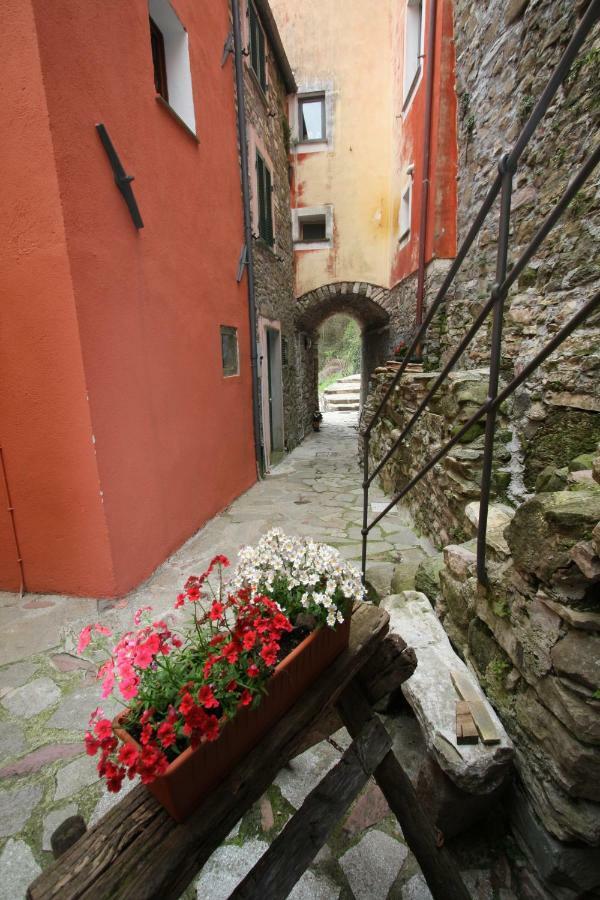 ريكو ديل غولفو دي سبيزيا Borgo Di Codeglia - Country Rooms المظهر الخارجي الصورة